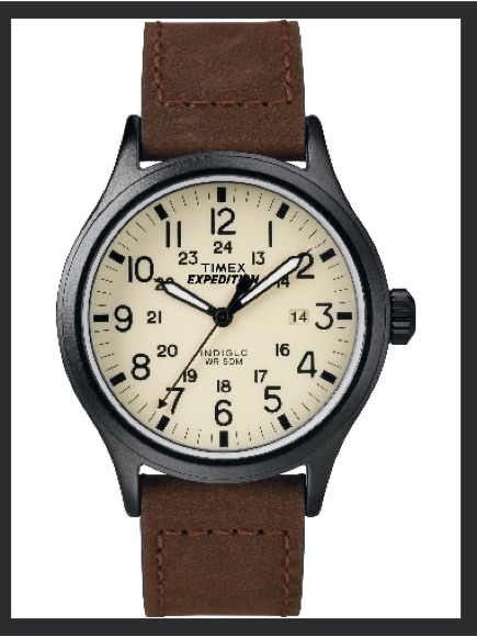 Timex Expedition Scout Cream Dial Brown Leather Strap Watch